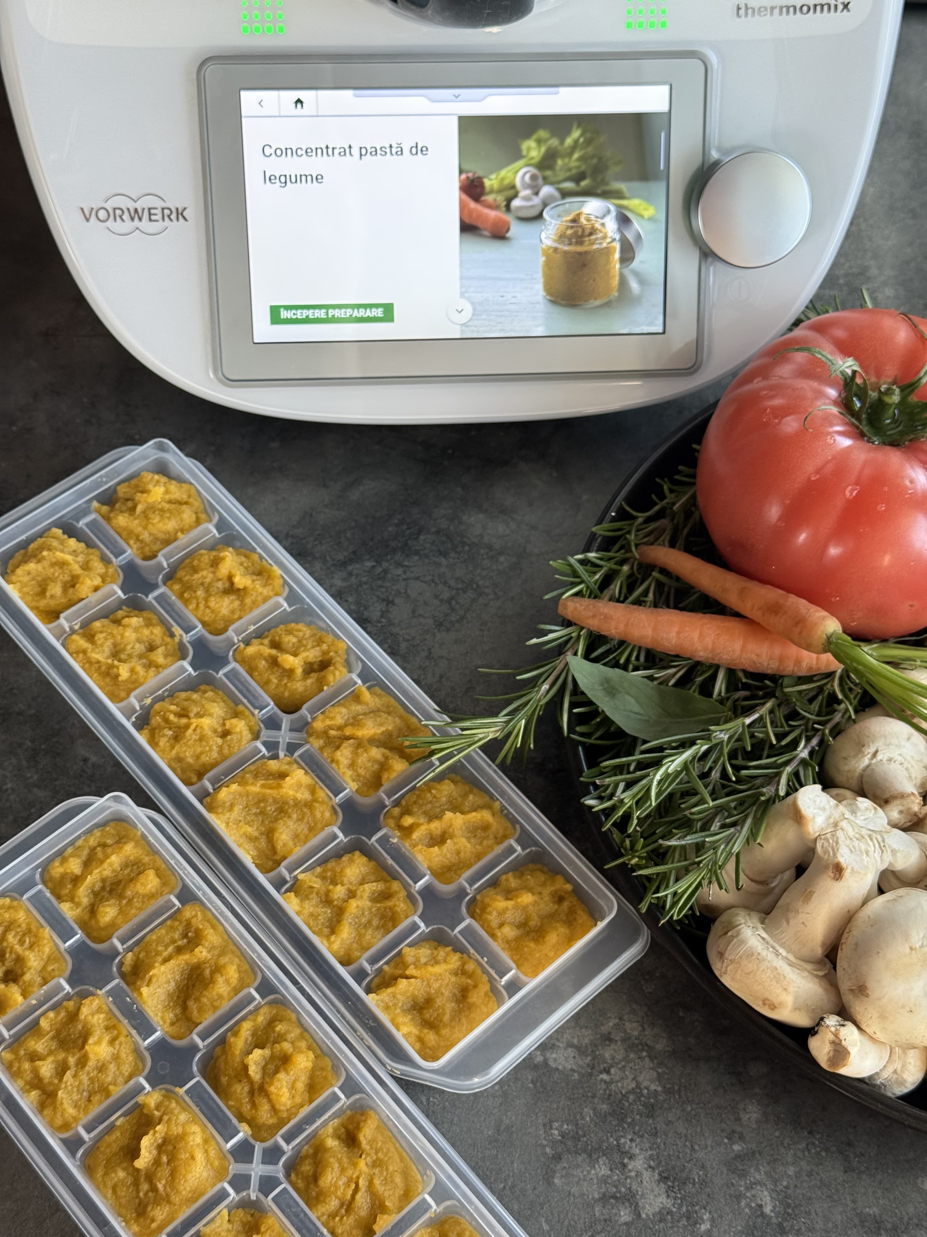 Concentrat pastă de legume